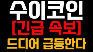 수이코인 전망 긴급 속보 드디어 급등 한다