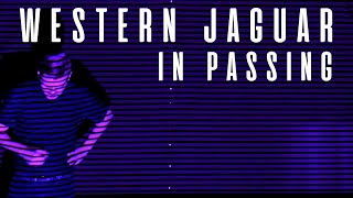 Western Jaguar - In Passing (Official Music Video)