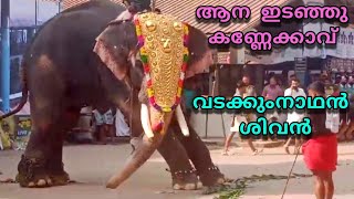 കണ്ണേക്കാവ് പൂരം വടക്കുംനാഥൻ ശിവൻ ഇടഞ്ഞു | Kannenkavu Pooram #elephantattack #vadakkumnathansivan