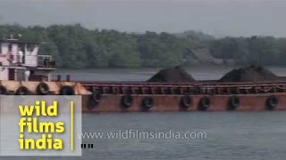 A barge carrying Iron ore at the Mandovi River in Goa