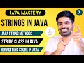 String in Java in one Video| String Methods in Java in Hindi | Java Mastery #7