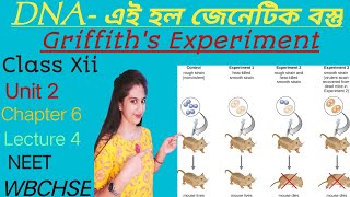 L4:Griffith's Experiment in Bengali|DNA is genetic material by transformation|WBCHSE|NEET|NCERT