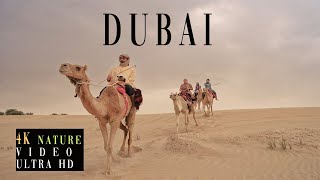 Dubai in 4K Nature Video Ultra HD - Rising Music with Beautiful Nature Videos