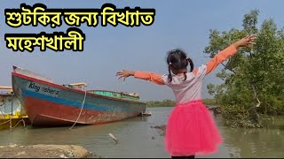 শুটকির জন্য বিখ্যাত মহেশখালী পল্লী।এবং বাংলাদেশের একমাত্র পাহাড়ি দ্বীপ এখানে দেখার মত অনেক কিছু আছে