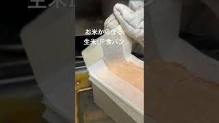 生米1斤食パン　小麦アレルギー対応　卵乳不使用　グルテンフリー　香川県