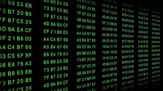 Hexadecimal Code - Data flow - green
