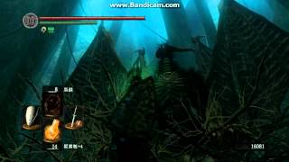 [黑暗靈魂：死戰 PC版]灰燼湖深處的古龍契約