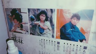 楊林 尼羅河女兒