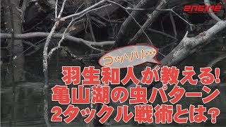 羽生和人がコッソリ教える亀山湖の虫パターン２タックル戦術