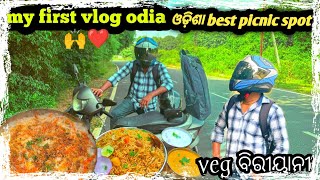 DIPLOMA କରି କିଛି ଲାଭ ହେଲାନି  🙌🙏🏻 l odisha picnic spot l odisha food vlog l odia vlog