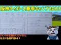 【阪神タイガース 虎党集合 速報】live❗❗2 1 阪神タイガース春季キャンプ生中継1球実況配信 阪神タイガース キャンプ観戦 宜野座ライブ 鳥谷敬 阪神キャンプ タイガースキャンプ