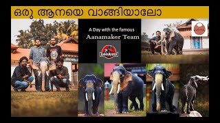 ഒരു ആനയെ വാങ്ങിയാലോ | A day with Aanamaker