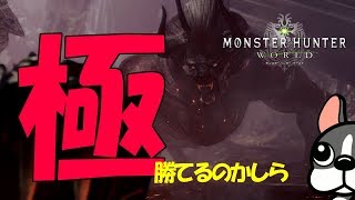 【MHW実況/PS4】まだ勝ててないよ　極ベヒーモス【モンハンワールド】