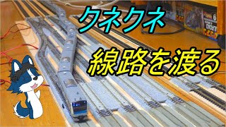 [見た目が既にカッコイイ!] 複々線に渡り線で車庫に繋がる線路設置してみた!