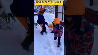 ②クリスマスツリー採取体験に来たよ🌲 雪道を歩き続けたよ☃️ 突哨山カタクリ広場❄️ 北海道旭川市✨ #ninjya #shorts #旭川市 #雪景色 #トレーシー #スティーブ #カタクリ広場