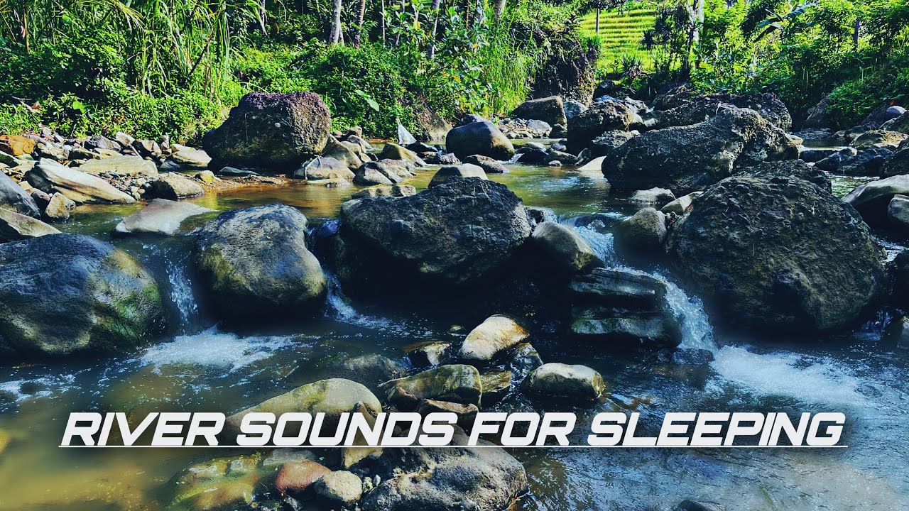 River Sounds For Sleeping Relaxing Nature Sounds For Sleeping Youtube