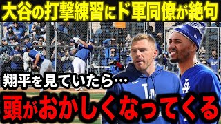 大谷の激変ぶりにド軍スター選手が驚愕！「翔平を見ていたら…頭がおかしくなるよ」フリーマンも思わず絶句【海外の反応/MLB/野球】