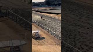 【競走馬の日常】調教風景