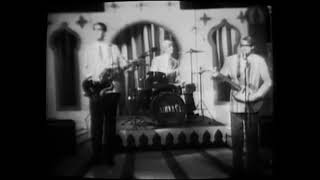 Nirvana S Breed 60 S Cover