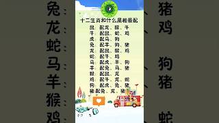 十二生肖属相最佳搭配  看看你找对了吗？#生肖配對 #Chinese zodiac