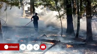 Pokoli tűz Rodoszon, ezrével menekítik a turistákat