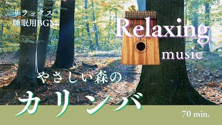 優しい森とカリンバ音楽　自然音と心地よいBGMでリラックス＆睡眠　作業用にも