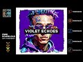 (Free) Lil Skies Type Beat | Violet Echoes