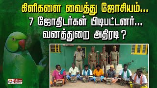 கிளிகளை வைத்து ஜோசியம்.. 7 ஜோதிடர்கள் பிடிபட்டனர்.. வனத்துறை அதிரடி..!