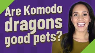 Are Komodo Dragons Good Pets
