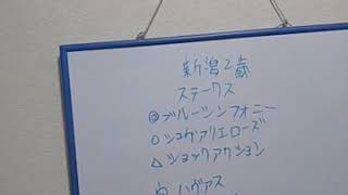 新潟２歳ステークス2020 〜今年は前走上がり最速馬を狙いましょう!!