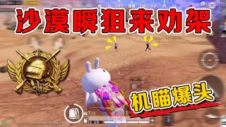 Peaceful Elite: Snipers swept the desert, killing 11 kills instantly [Wu Ziyi]