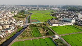 Rivers and rice fields near Machida (Yokohama, Japan)