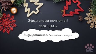 Виды рационов. Все плюсы и минусы.