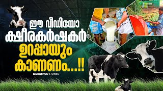 ഈ വീഡിയോ ക്ഷീരകർഷകർ ഉറപ്പായും കാണണം | Cattle Feed | Palakkad | Kerala | Nandini