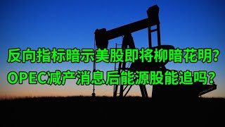 反向指标暗示美股即将柳暗花明？OPEC减产消息后能源股能追吗？(美股天天说20230404)