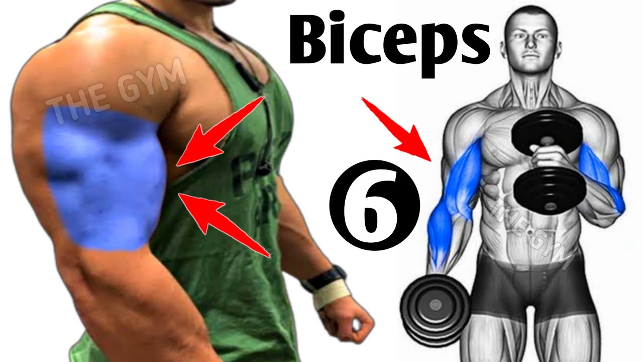 6 Fastest Big Biceps Exercises Workout Youtube