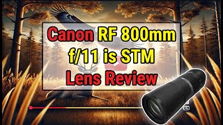 Canon RF 800mm f/11 is STM Lens Review | Wildlife Photography