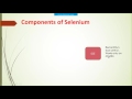 Selenium C# Tutorial - What is selenium Webdriver,RC,IDE, GRID