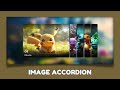 Create Responsive Accordion Using HTML CSS and JavaScript