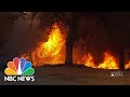 How The Government's Forest-Clearing Plan Aims To Fight Wildfires Before They Start