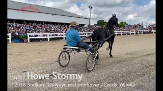 Hip 1 - Howe-Stormy $450,000 | 2022 Mid Ohio Memorial Trotting Sale