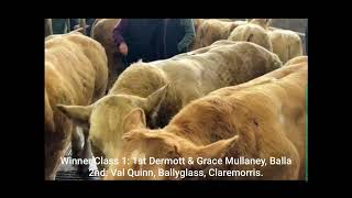 #Ballamart weanling show 03-09-2024