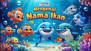 Belajar Nama Ikan : Dari Ikan Hiu Hingga Ikan Lumba-Lumba yang Menarik!