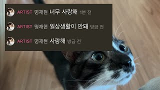 🇯🇵 도쿄 교환학생의 기말고사 조지고 일시귀국해서 앤팀 공방 4광탈하는 영상ㅣ코메다 카공, 고양이 재회 주파수, 한자 너무 어려워, 엄마아빠사랑해 #일본교환학생브이로그