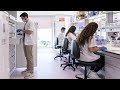 Pediatric Cancer Center Barcelona Childhood Cancer Research Laboratory