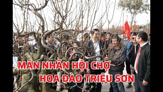 Mãn nhãn hội chợ hoa đào Triệu Sơn | Báo Thanh Hóa