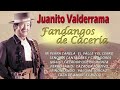 juanito valderrama fandangos de caceria