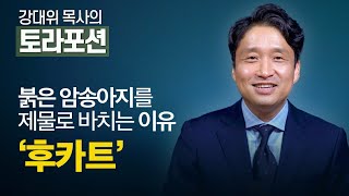 [Brad TV] 강대위 목사의 토라포션 - 붉은 암송아지를 제물로 바치는 이유 '후카트'