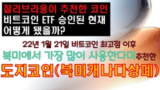 22. 찰리브라웅이 추천한 코인은 어떻게 됐을까? #찰리브라웅 #비트코인 #도지코인