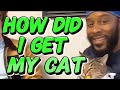 Unbelievable Story: How I Rescued the Cutest Cat Ever!